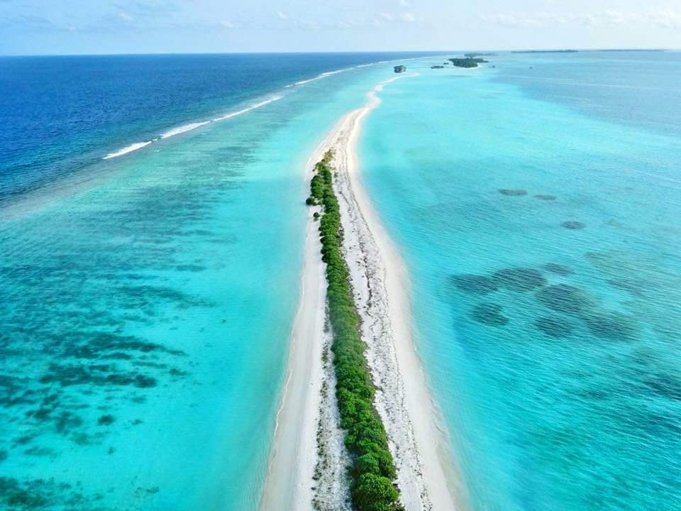 🏝️ Dhigurah Island Guide: Whale Sharks & Local Culture - Maldives