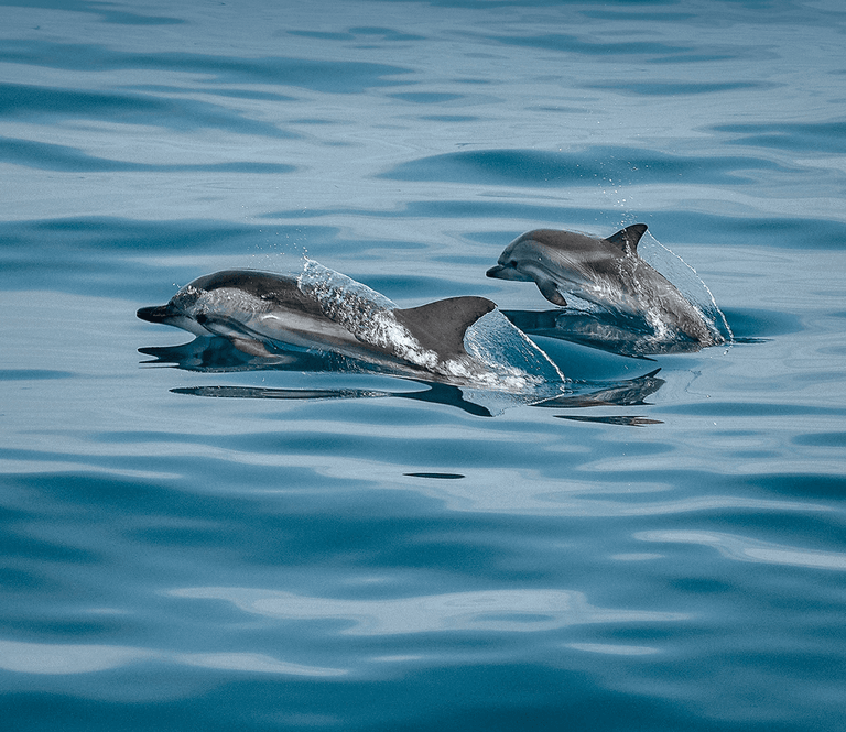 Huvafen Fushi Maldives — photo 6
